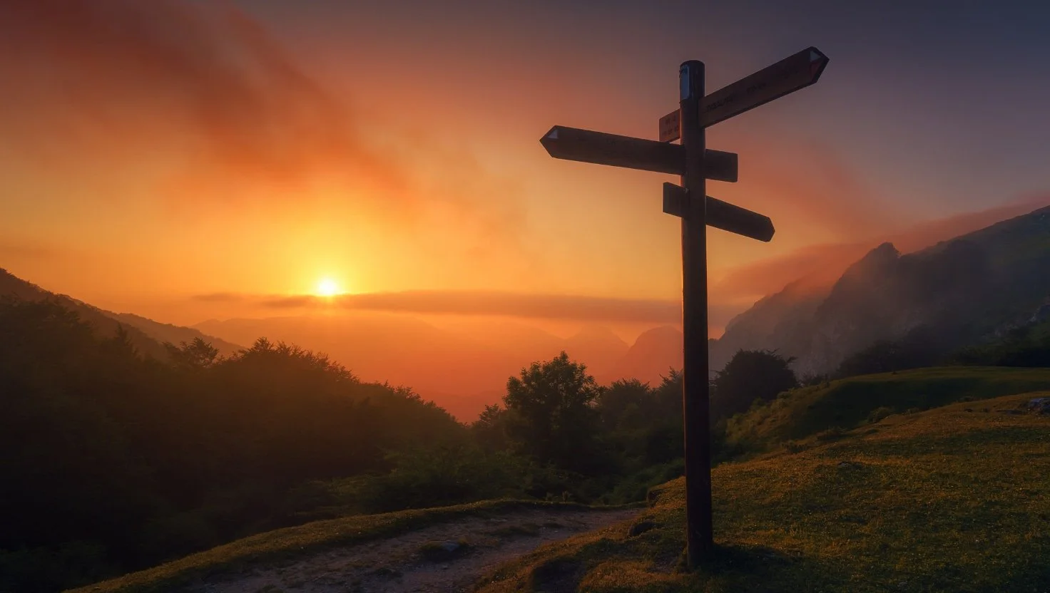 Wooden signs at daybreak pointing in different directions, representing the confusion between anxiety, burnout, and unresolved childhood trauma in adults