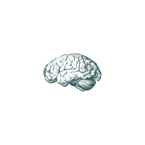 EMDR therapy brain icon—processing handed-down memories and patterns from generational trauma, virtual care in Bryn Mawr/Main Line, PA and Newark, DE.
