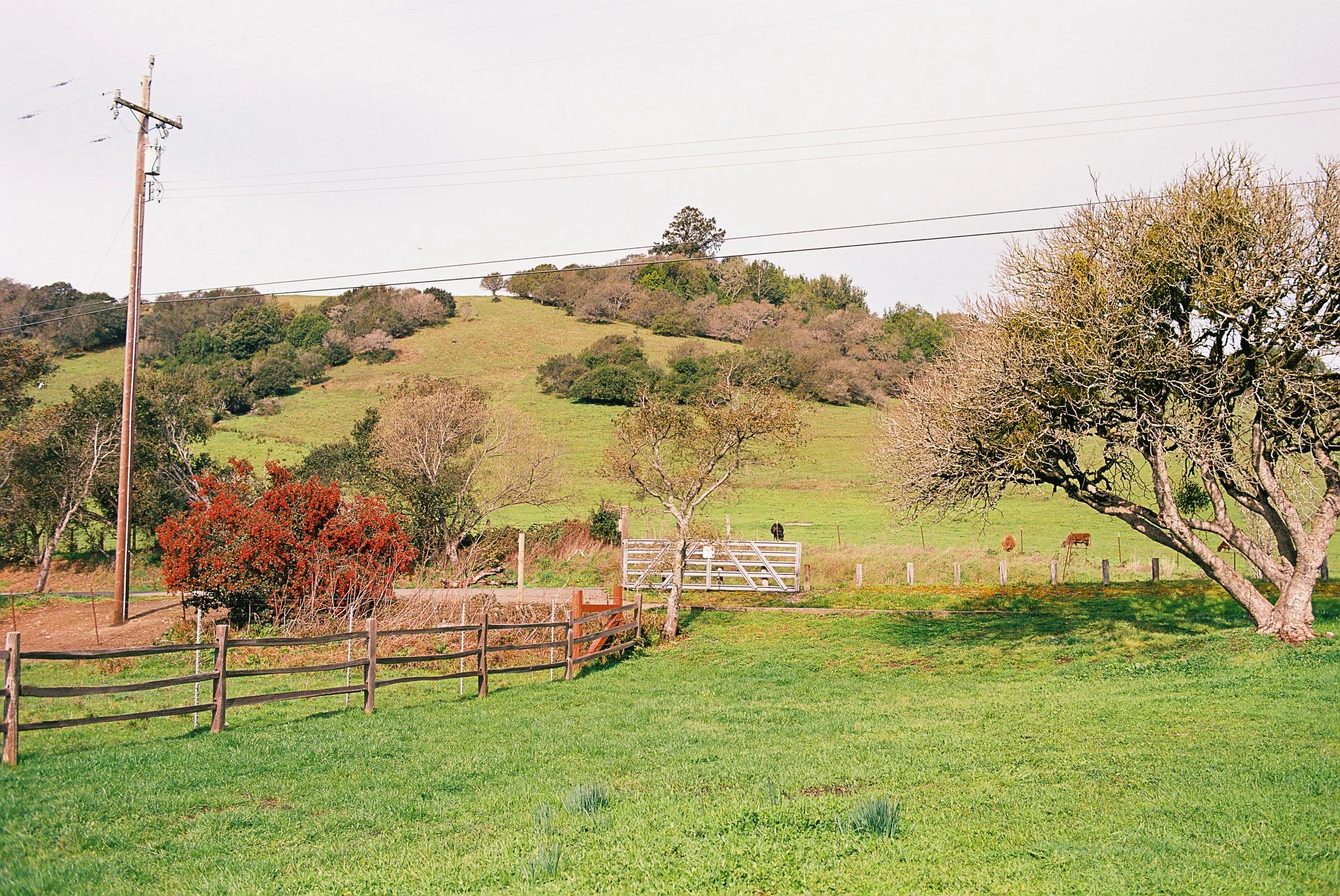 R1-09761-0021.jpg