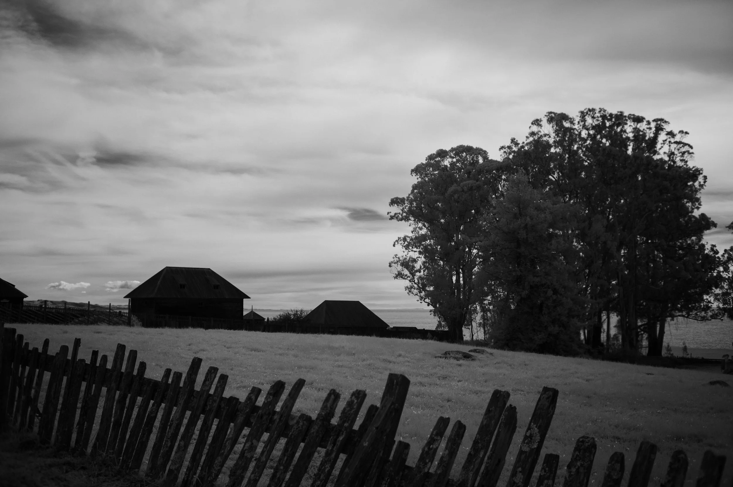 DSC09381.jpg