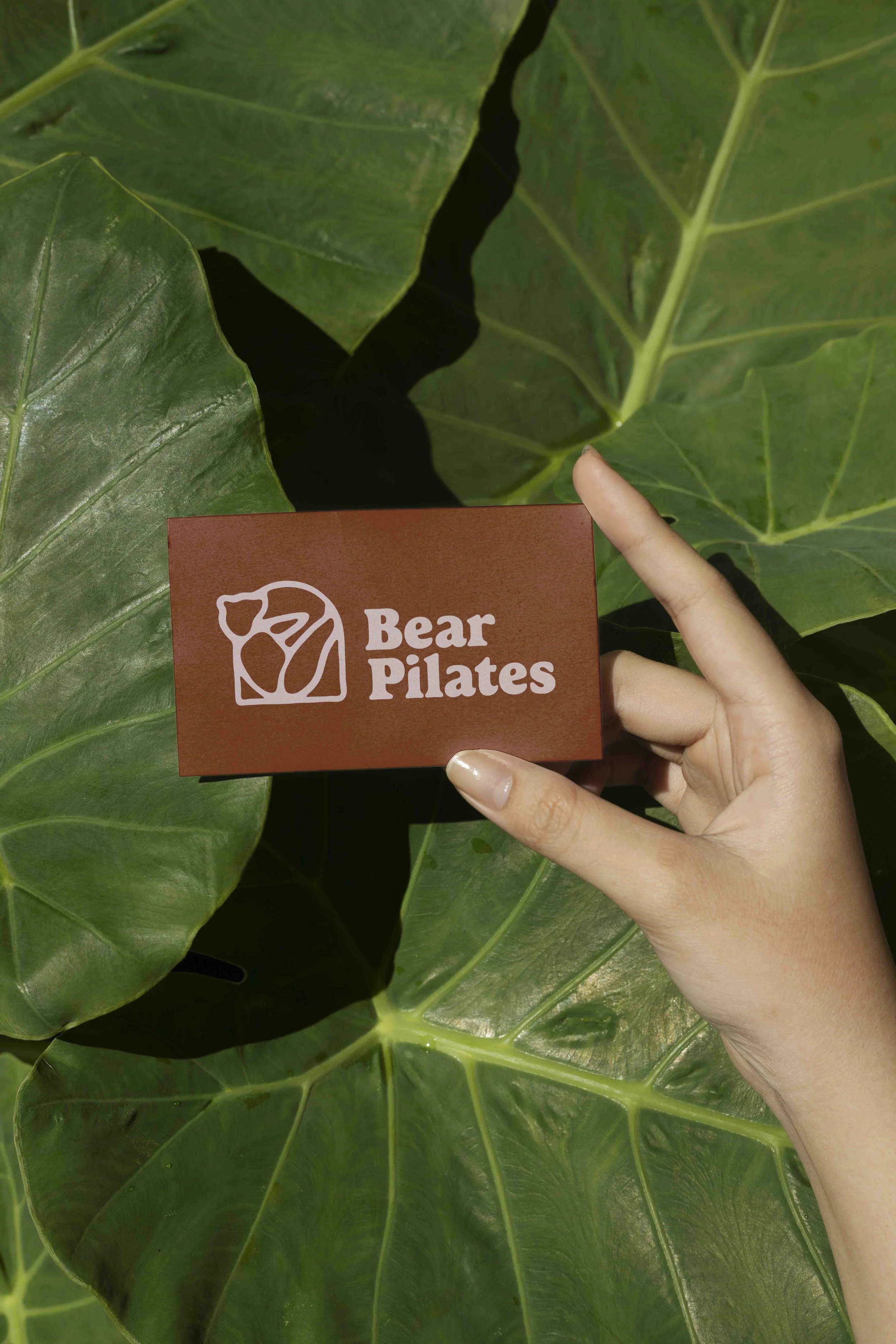 Bear Pilates - Logo & Branding Project