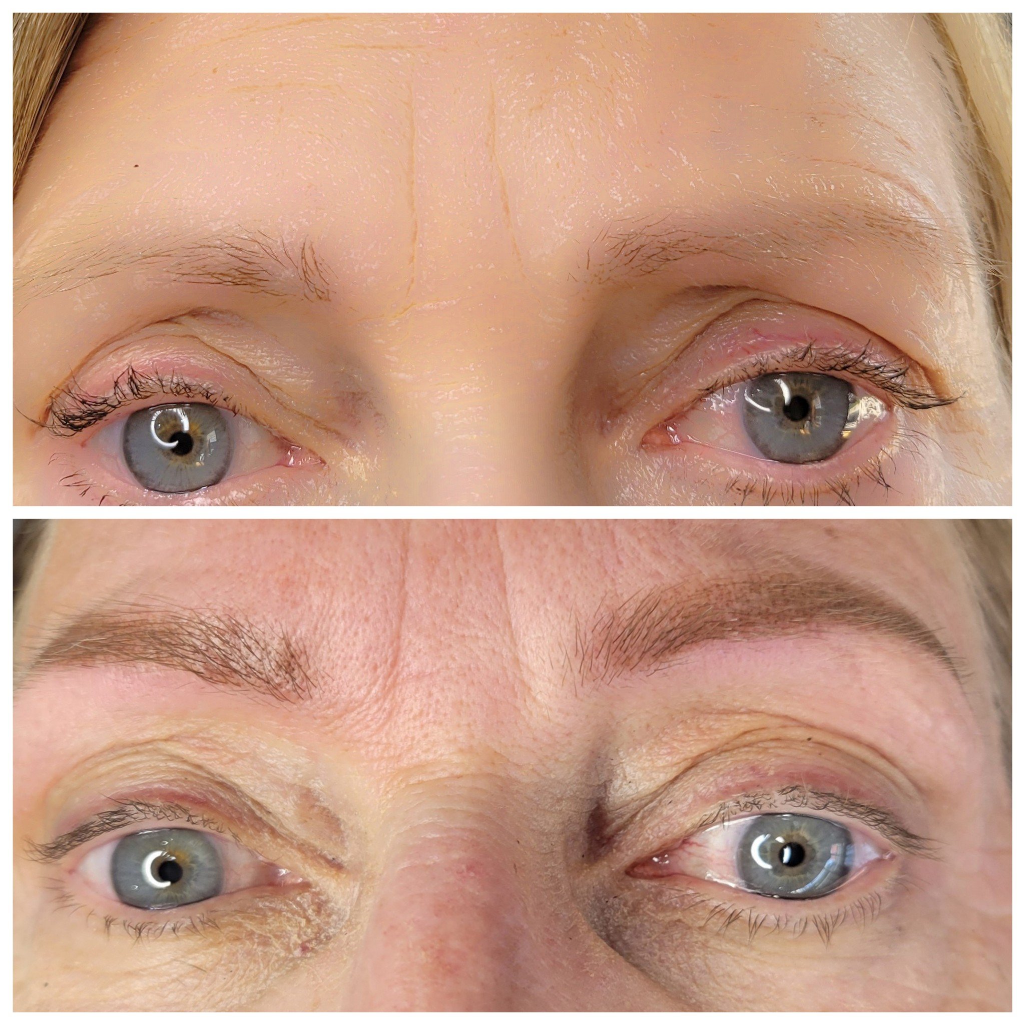 powder brows and microblading