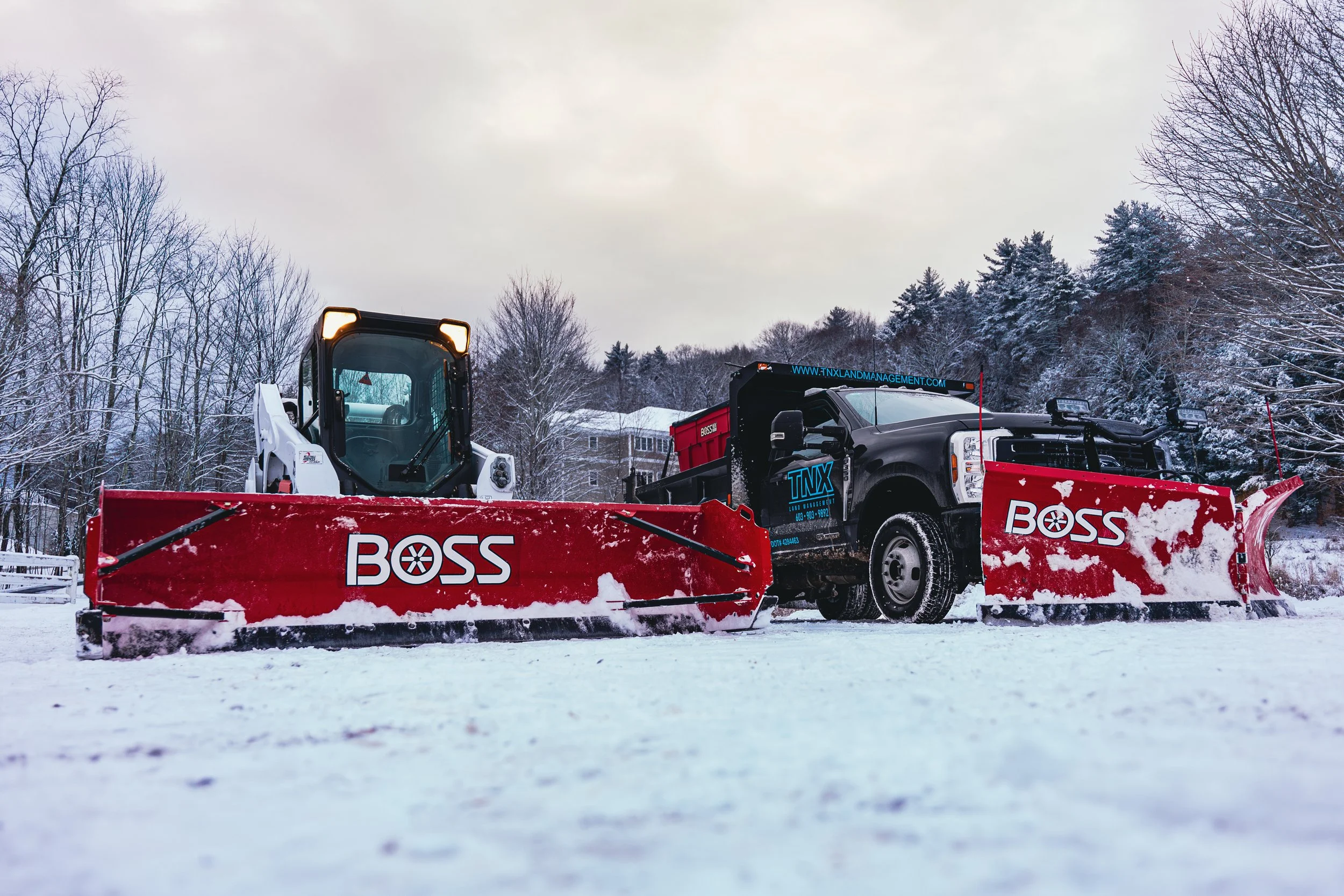 KSC00208-Enhanced-NR_Original (1).jpeg