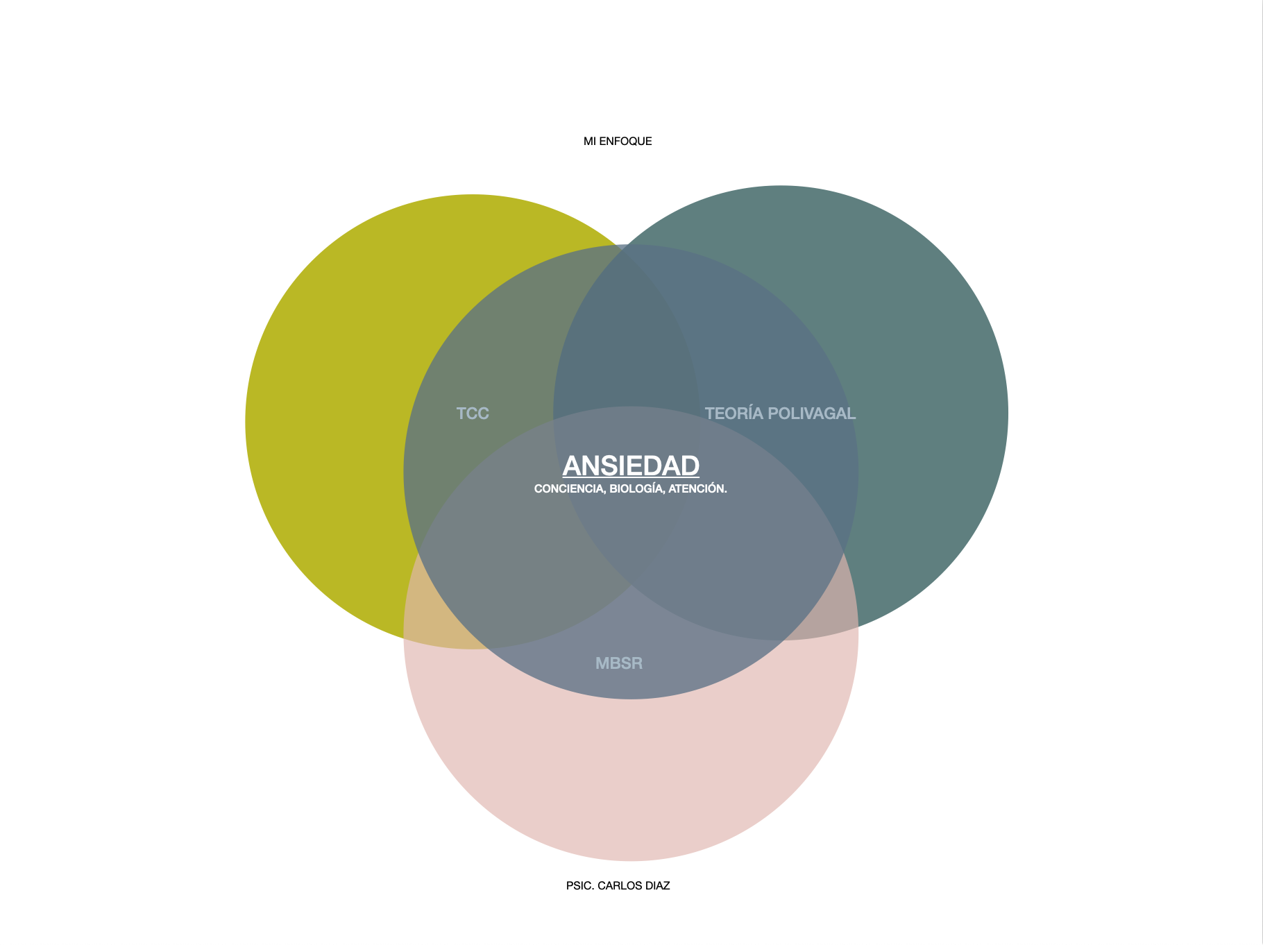 Diagrama de círculos superpuestos que muestra relaciones entre conceptos relacionados con la ansiedad, como atención, biología, conciencia, entre otros. Títulos visibles incluyen 'MI ENFOQUE', 'CONCIENCIA, BIOLOGÍA, ATENCIÓN.', 'TEORÍA POLIVAGAL', y 'PSIC. CARLOS DÍAZ'.