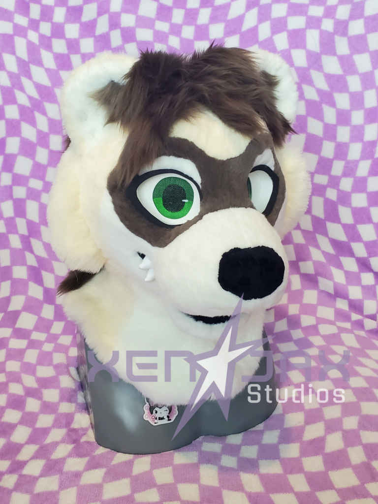 Cooper the ferret, 2025 (owned by mu5telid on Instagram)