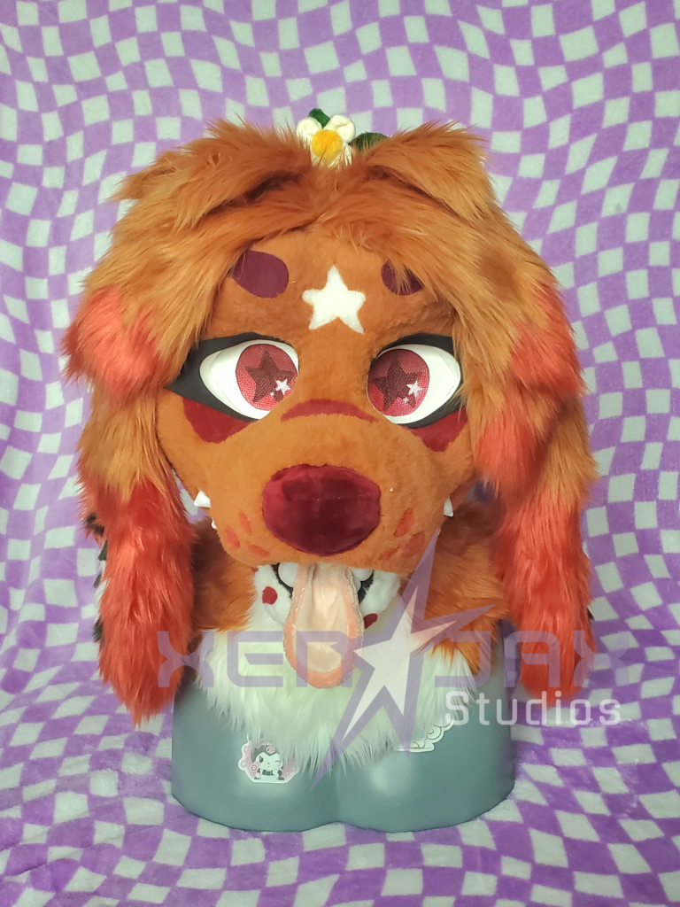 Leenie the hound-spaniel, 2025 (owned by starlit_outlaw on Instagram)