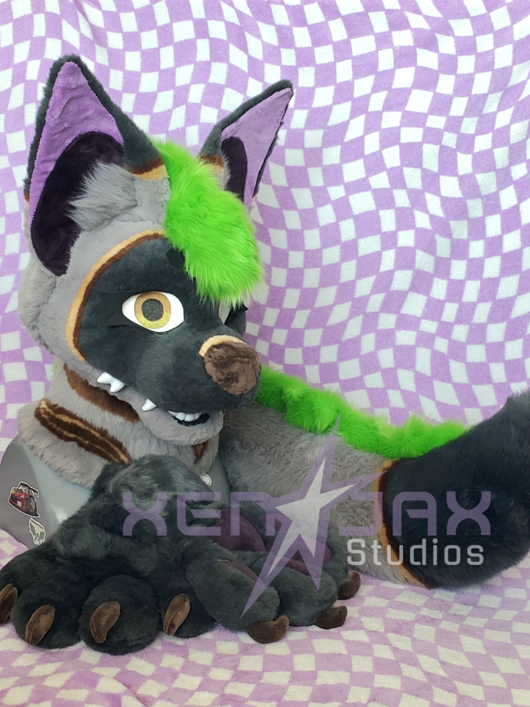 Cricket the aardwolf, 2026 (owned by beezlbee on Instagram)