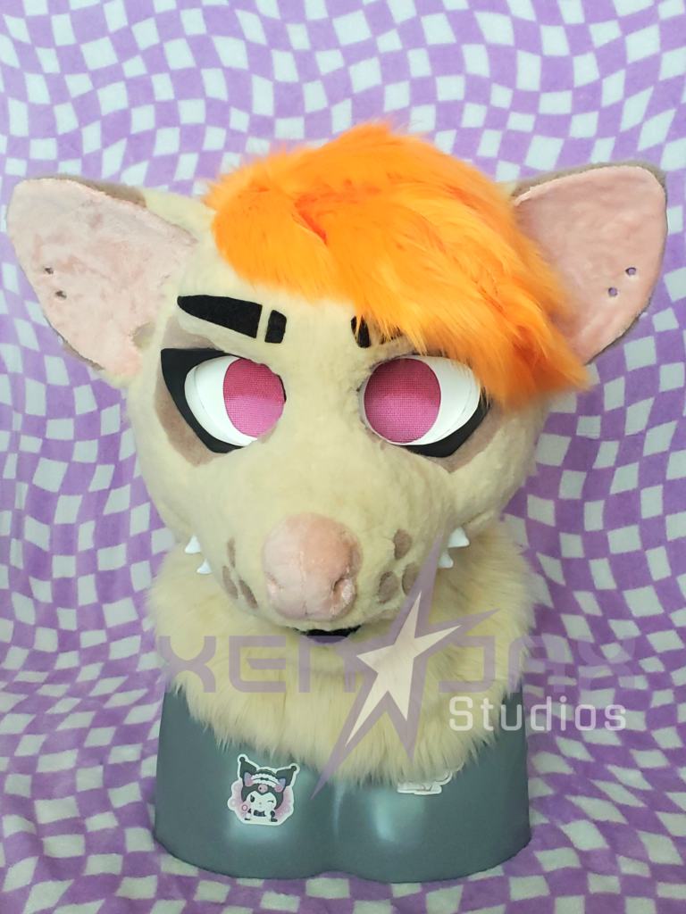 Sunkist the opossum, 2025 (owned by cemeteryclawz on Instagram)