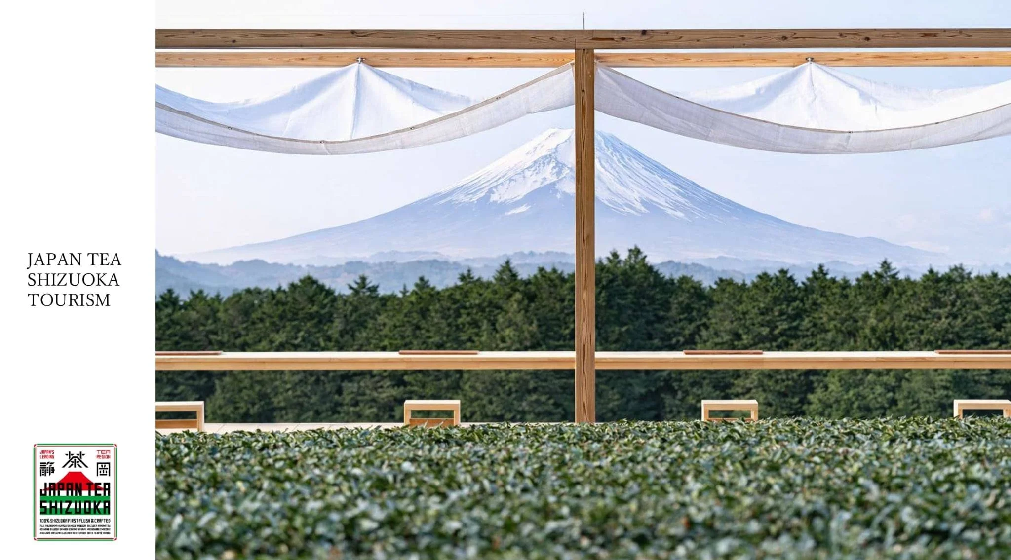 プロジェクト参画｜静岡茶ブランディングプロジェクトの新ブランド「JAPAN TEA SHIZUOKA」が発表されました