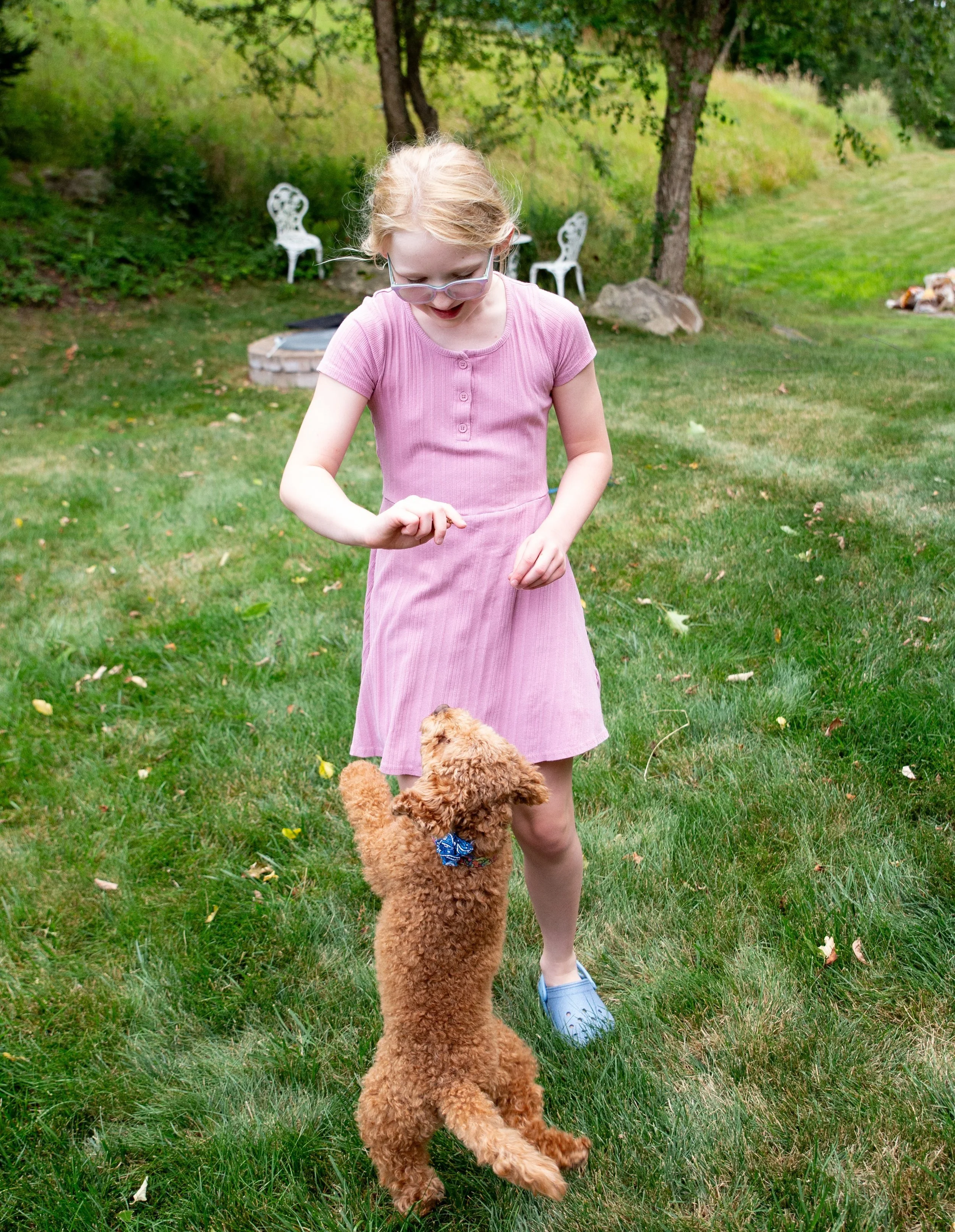 A young girl with glasses and a pink dress playing fetch with a brown curly-haired dog in a grassy backyard with trees and outdoor chairs.