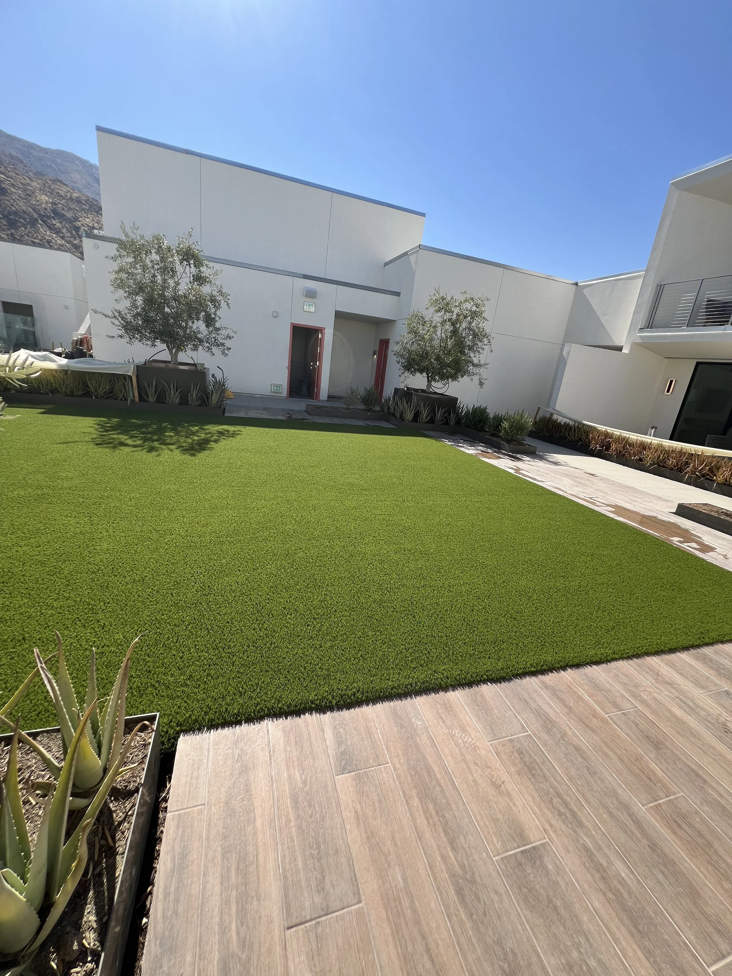 palm spring hotel.jpg