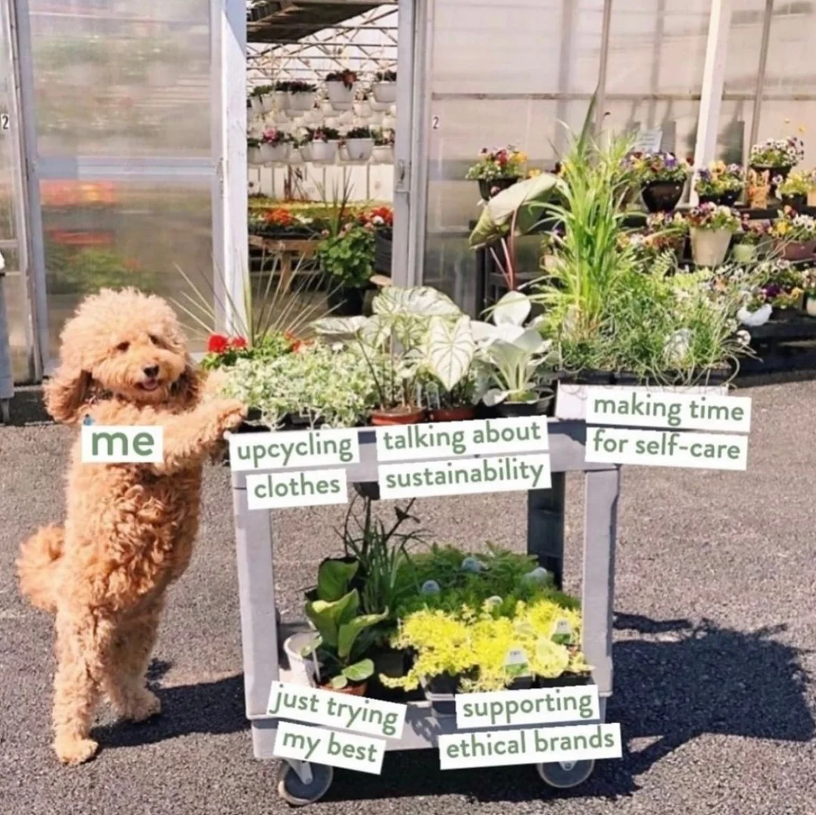 Viv For Your V Social