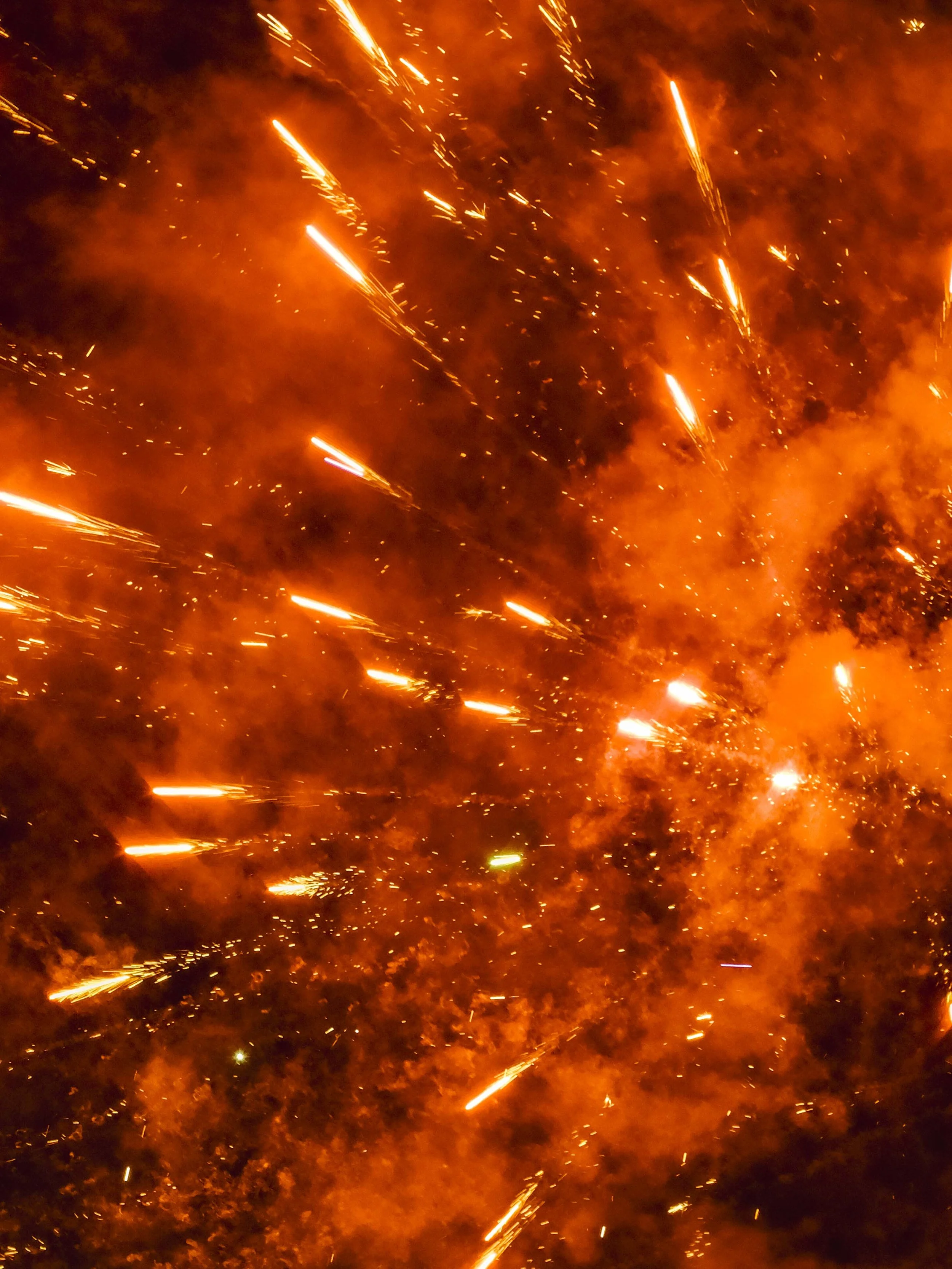 lismore show -4920.jpg