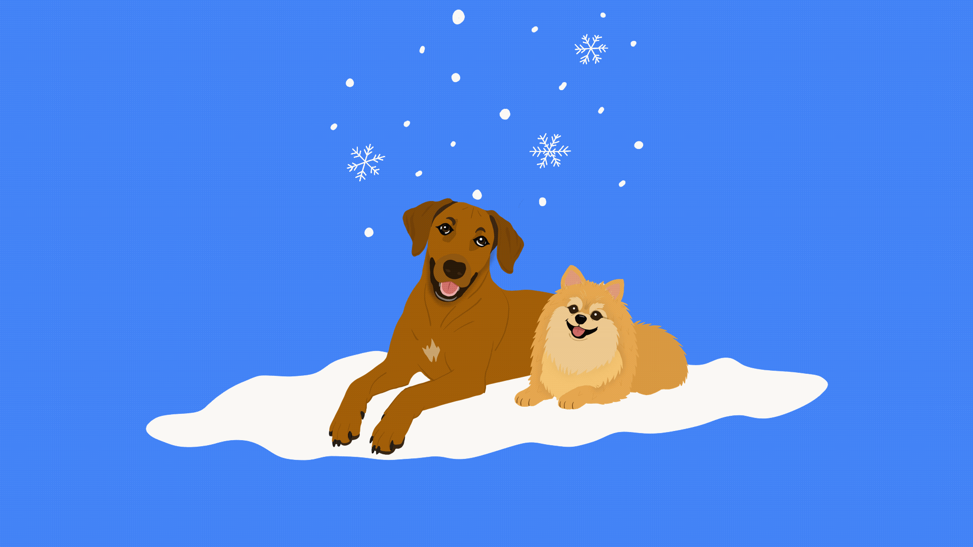 Wells Fargo Home Mortgage Lulu And Lobo Holiday