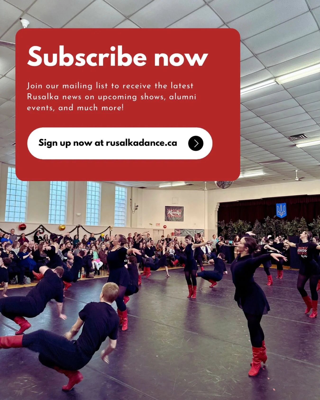 Stay connected to the heart of Rusalka 💫
From upcoming shows, exclusive event opportunities, alumni moments, and community magic - don&rsquo;t miss a beat. Subscribe to our mailing list today at the link in our bio!