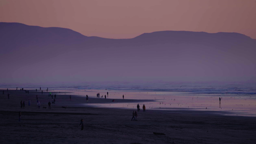 Screenshot 2024-12-24 at 2.07.11 PM.png