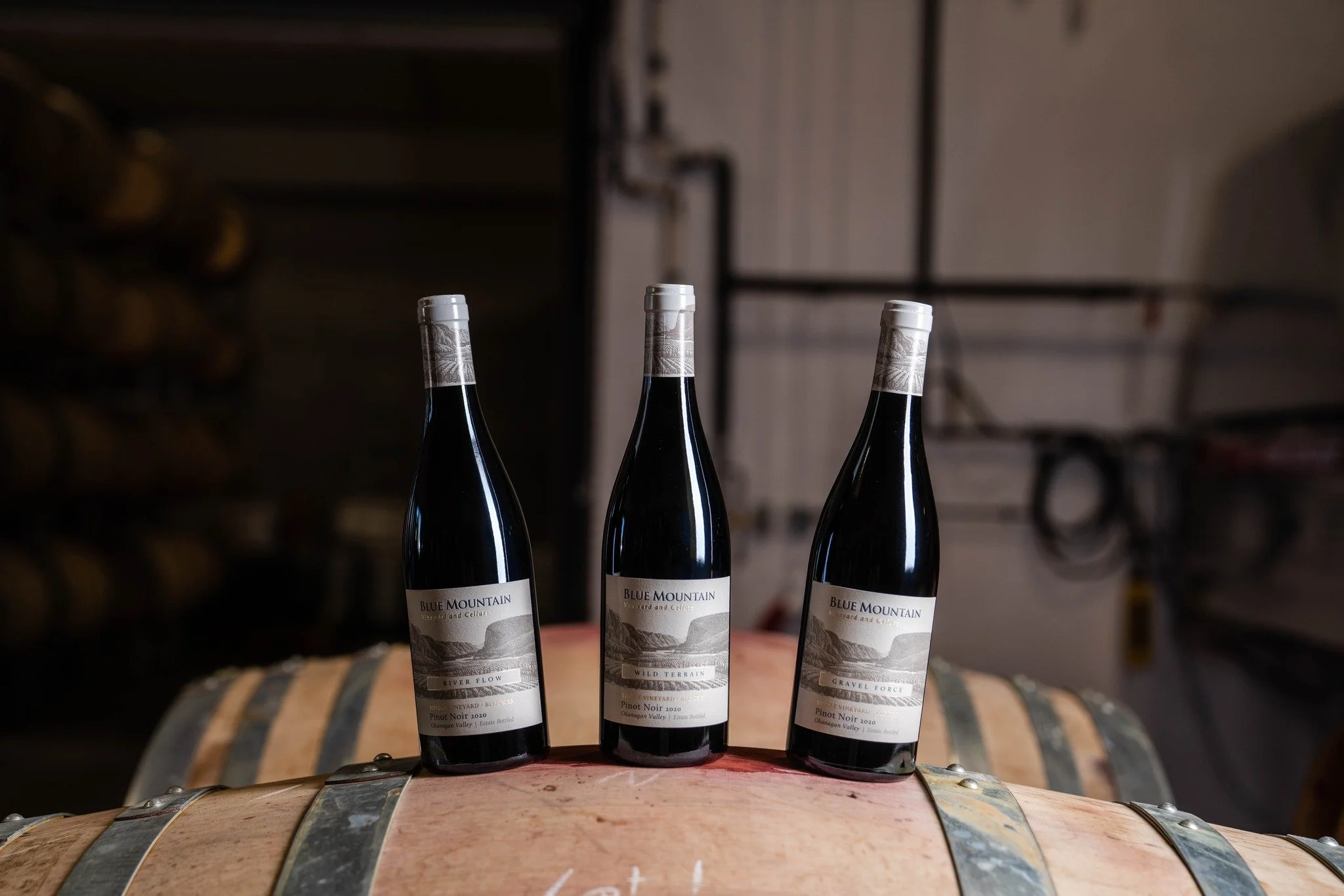 Blue mountain vineyard and cellars