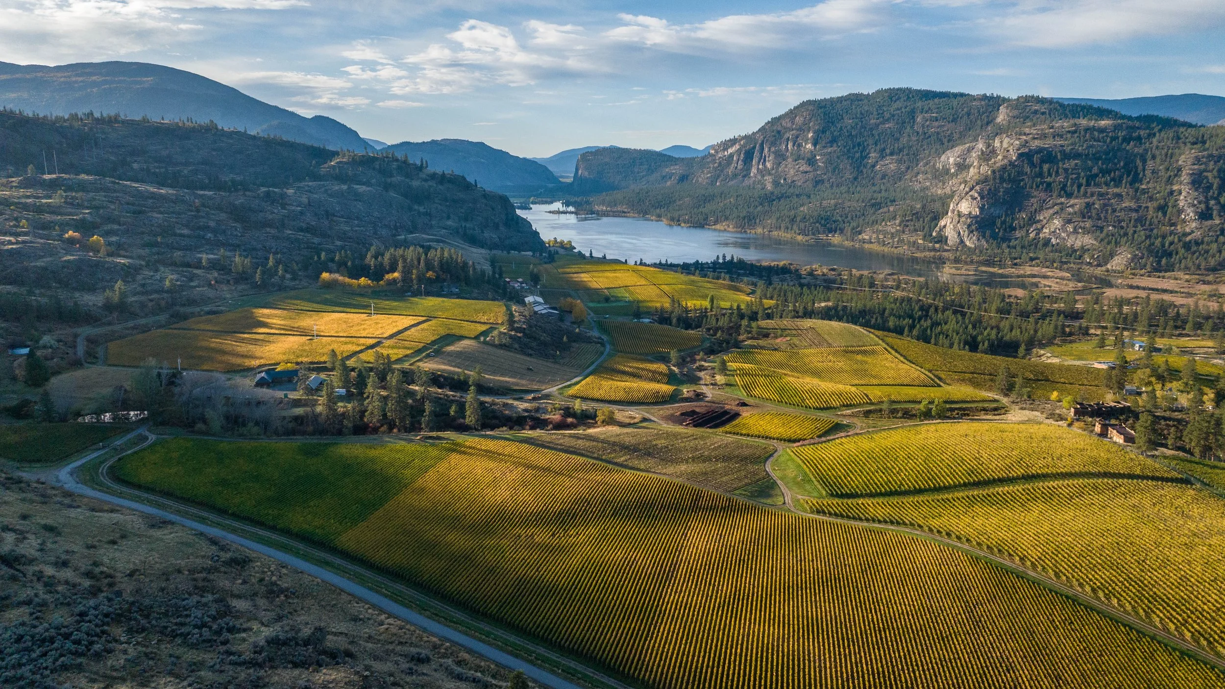 Blue Mountain | 2027 Wine Releases