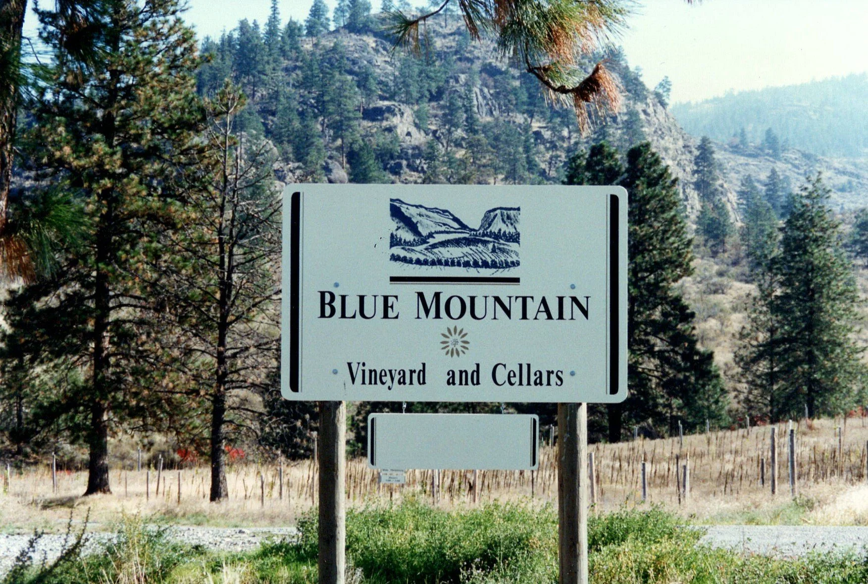 Blue-Mountain-sign-early-days.jpg