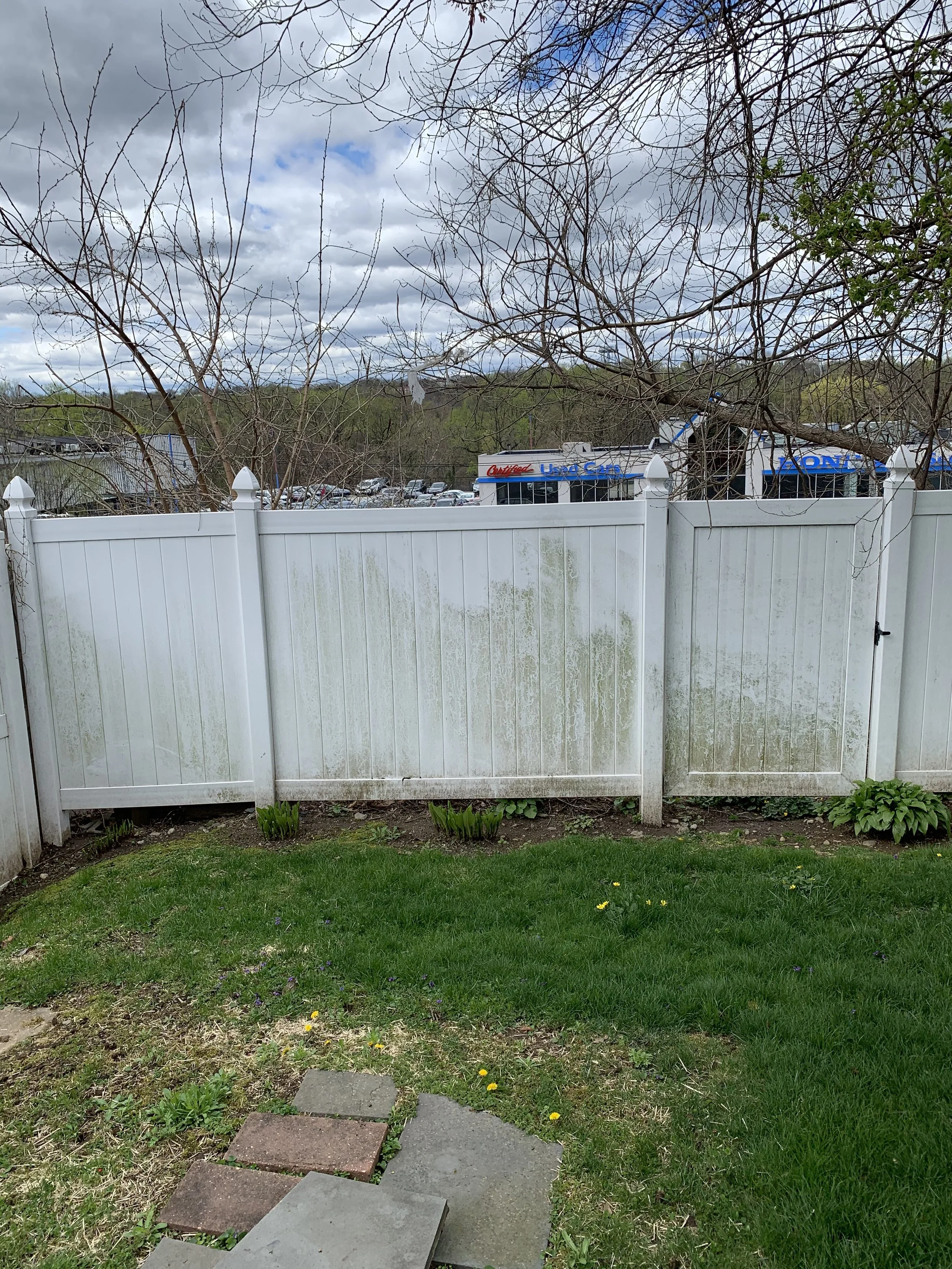 DIRTY FENCE.jpg