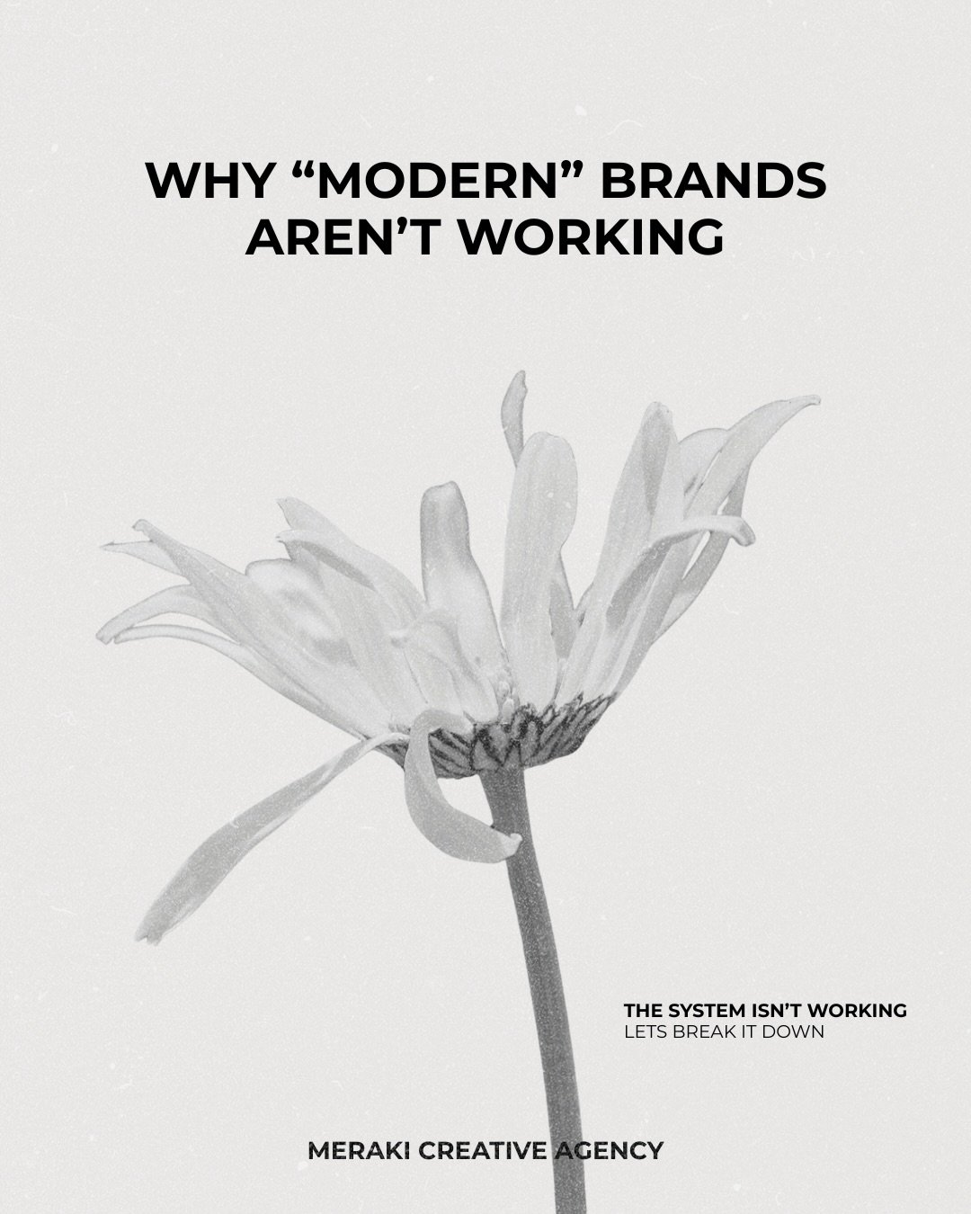 &ldquo;Modern branding&rdquo; was never supposed to mean looking identical 👉

Somewhere along the way, minimal became personality-less. 

Every second brand now has the same neutral palette, the same fonts, the same curated Pinterest moodboards, the
