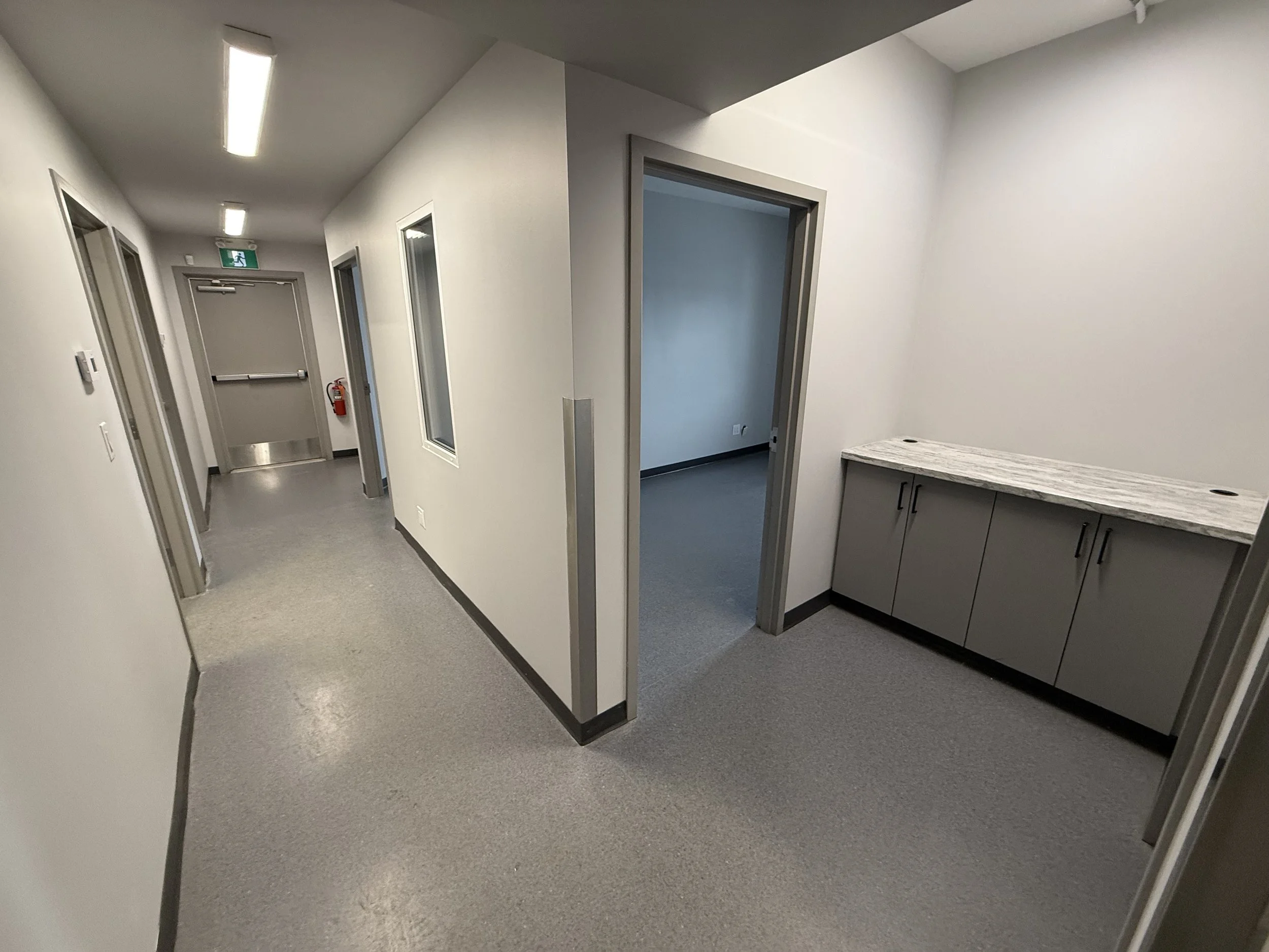 Photo 2026-02-17, 2 36 22 PM.jpg