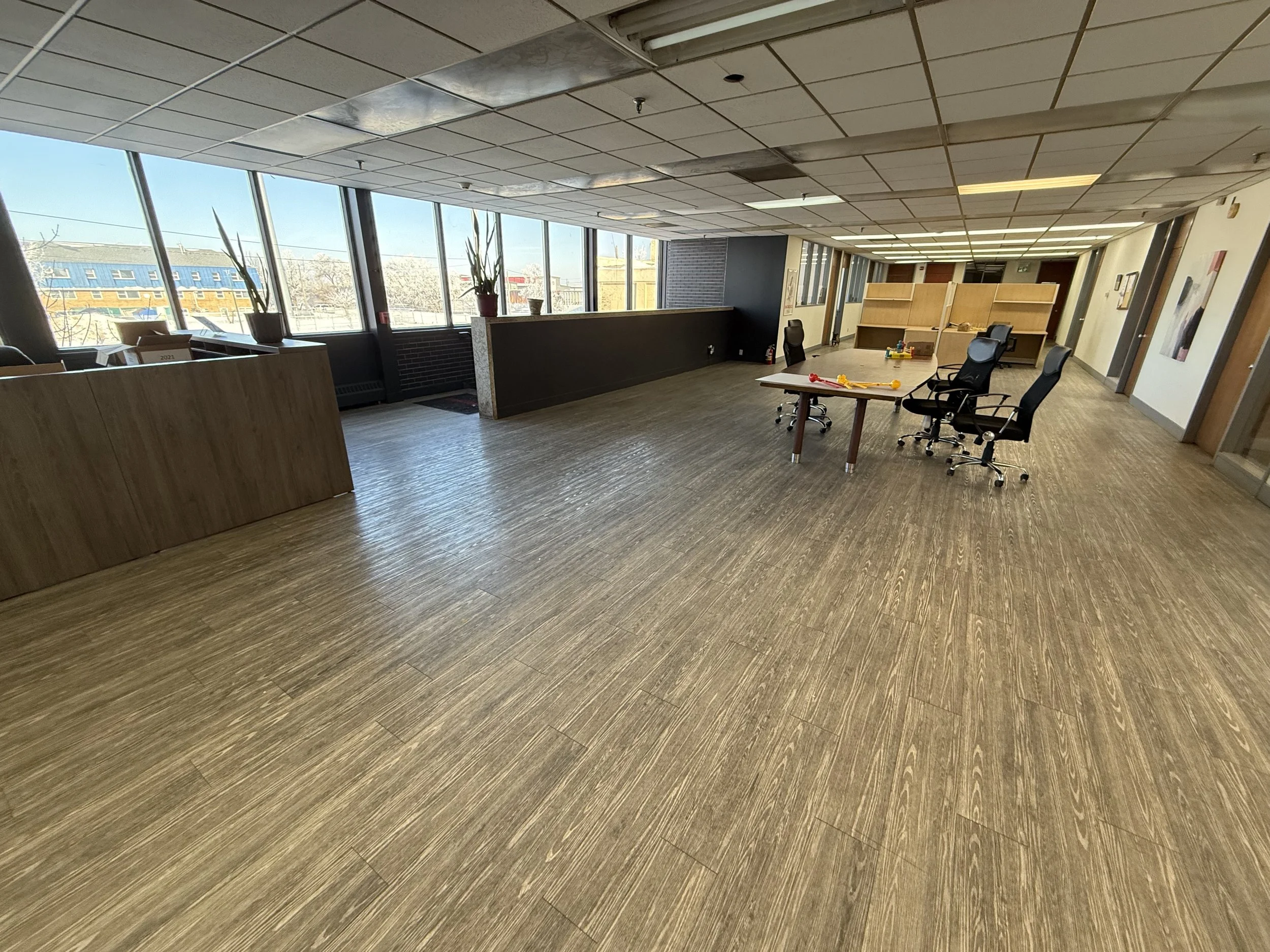 Photo 2026-02-12, 9 52 53 AM.jpg