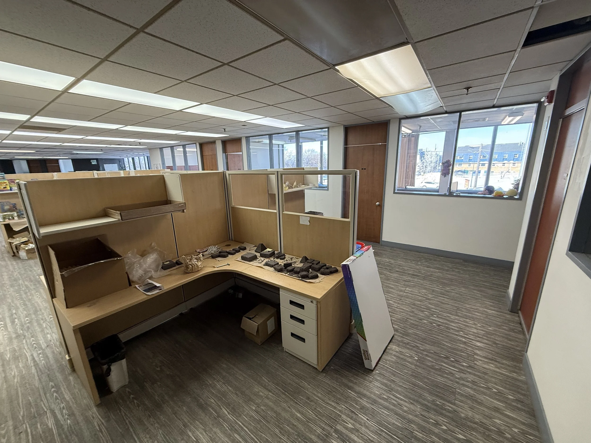 Photo 2026-02-12, 9 54 30 AM.jpg