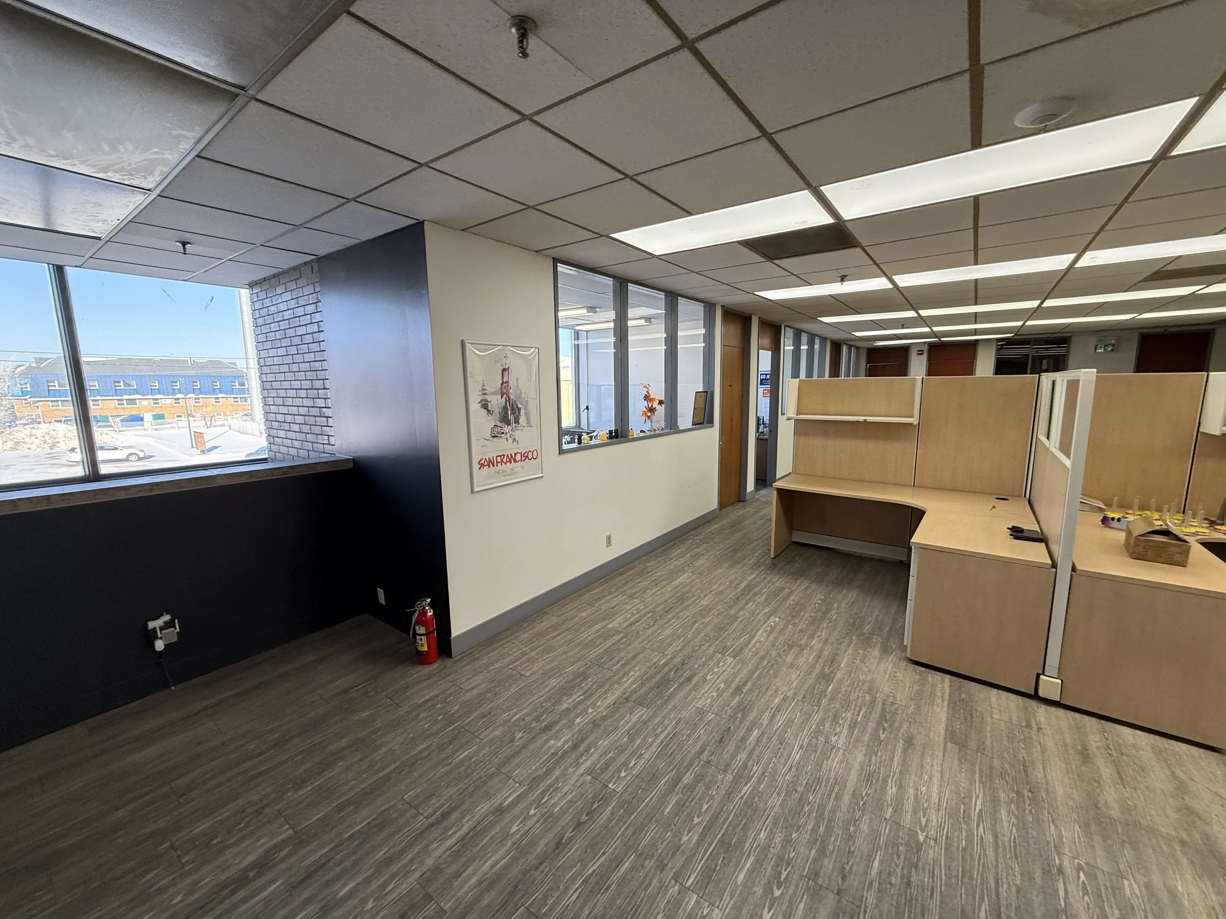 Photo 2026-02-12, 9 54 45 AM.jpg