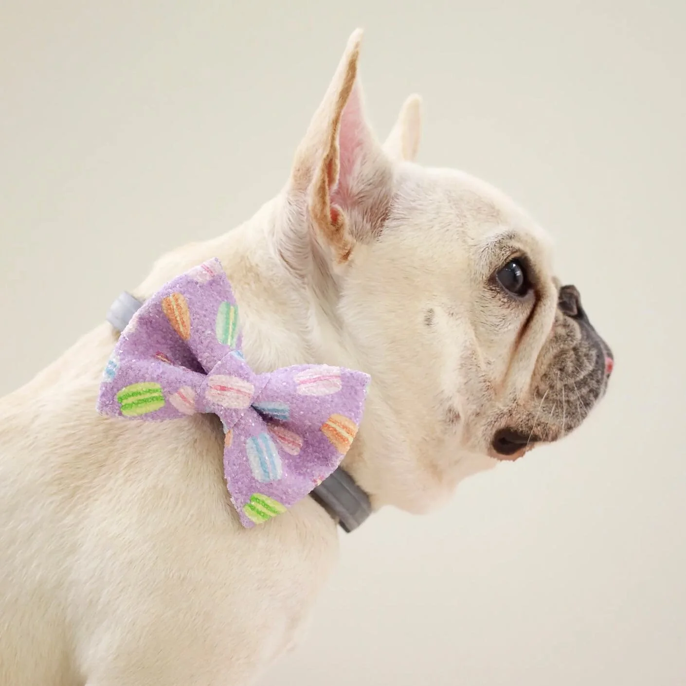 Lilidays ｜ 中秋來個時尚 Dogwalk

讓你的毛孩成為宇宙最可愛的 fashion icon 🐾

我們的狗狗蝴蝶結系列，讓每一次出遊都變成最時尚的 &ldquo;Dogwalk&rdquo;。無論你的寵物是大或小狗、小貓等，都能展現他們成熟的一面😌💫

產品：Summer Glitter Bow
尺寸： 小: 9.5cm (W) x 7cm (H) 大: 12.6cm (W) x 9.5cm (H)
品牌： @woofpackstyle  製造：香港

馬上逛逛：link 