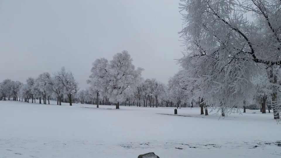 540p---20151129_122424.jpeg