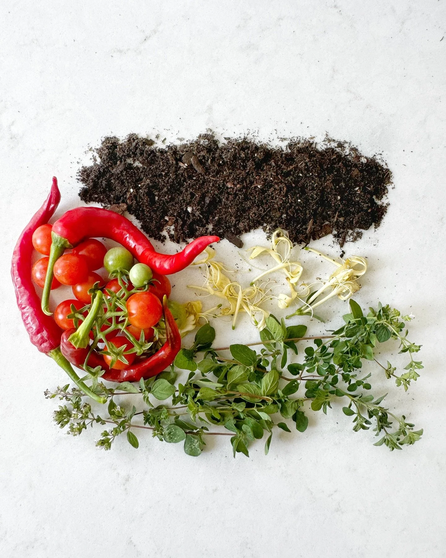 As my garden turns to a new season, I hear her whispers 

We are the keepers of our land

We know how to forage its za&rsquo;atar, letting the roots grow deeper with each passing season

The jasmine and honeysuckle climb, reaching toward the sky, lon