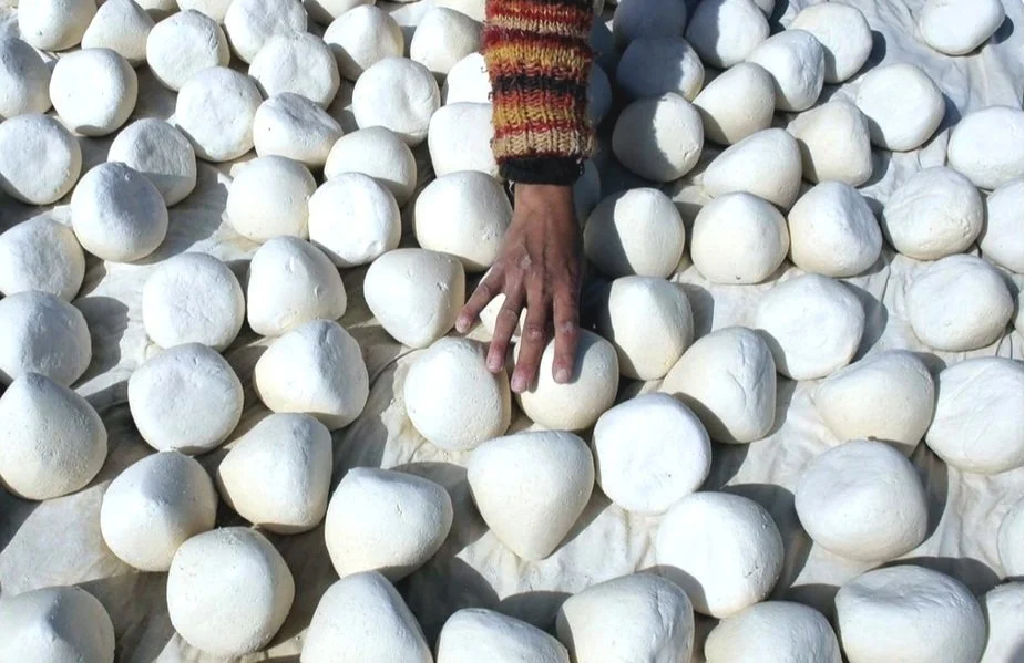 A hand touching dome-shaped white cheeses placed on a cloth for drying.