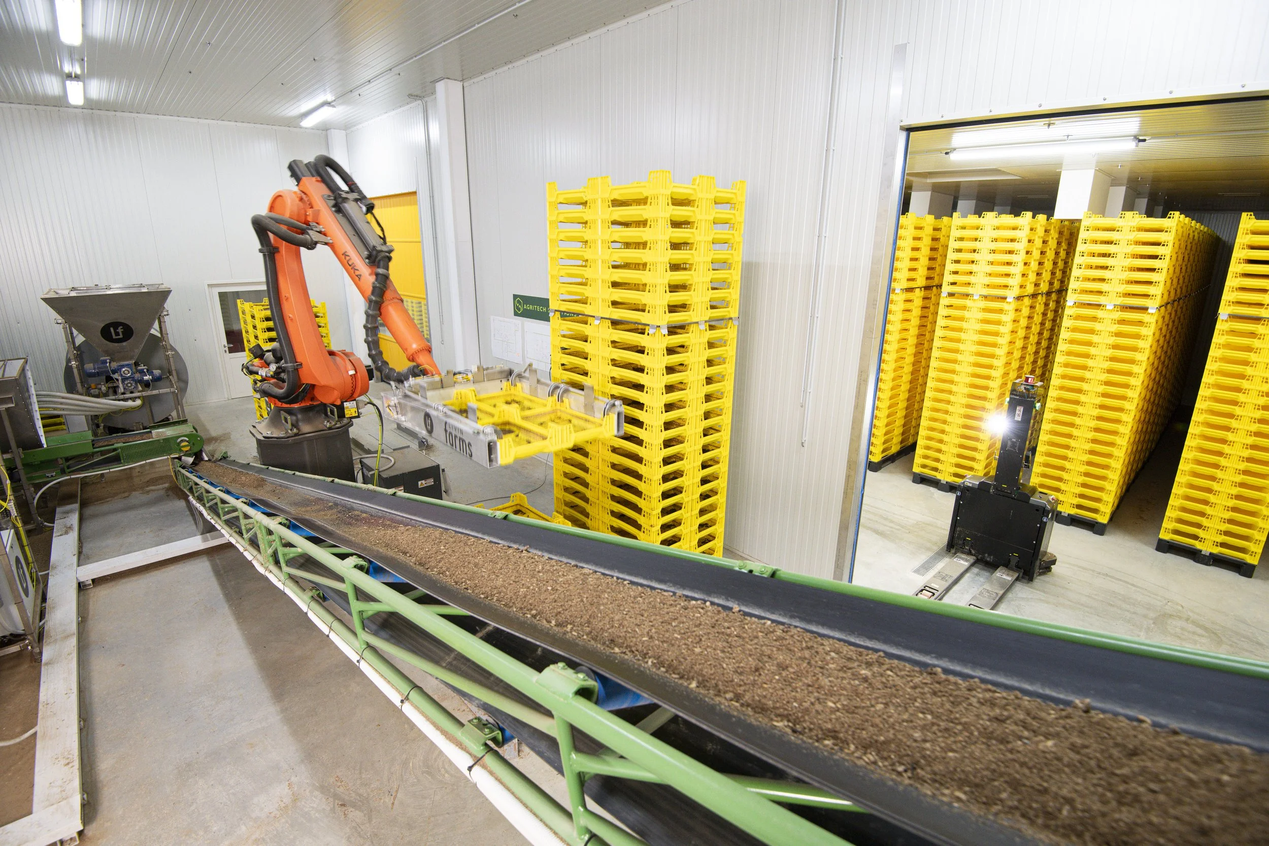 Black Soldier Fly Farming Explained: From Biology to Industrial Production