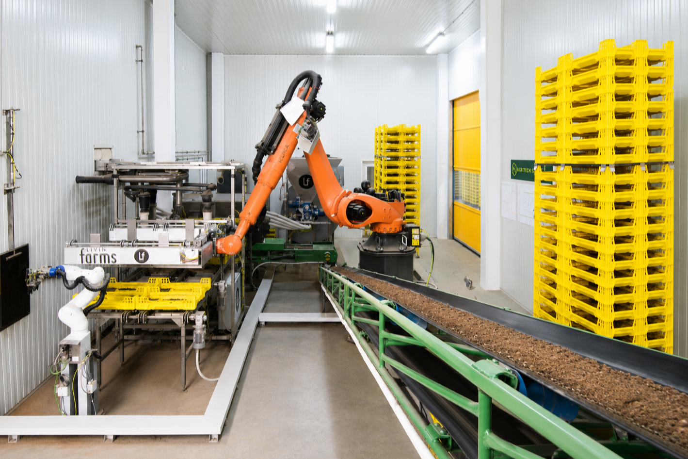 An industrial robotic arm is working on a conveyor belt with soil or mulch in a factory or processing plant, surrounded by yellow storage racks, with a yellow door in the background.