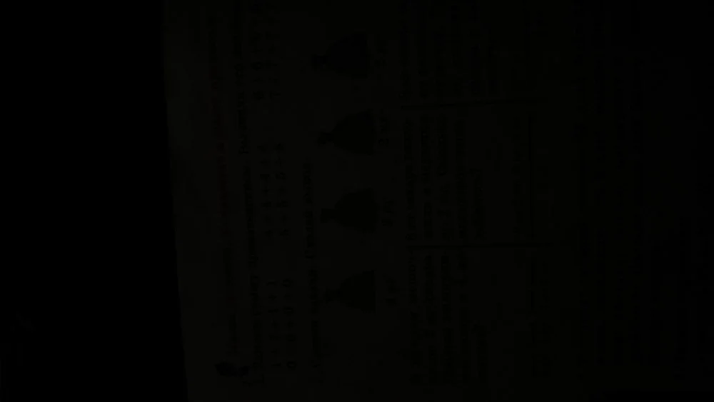 Mourning the Loss of Diogo Jota and André Silva