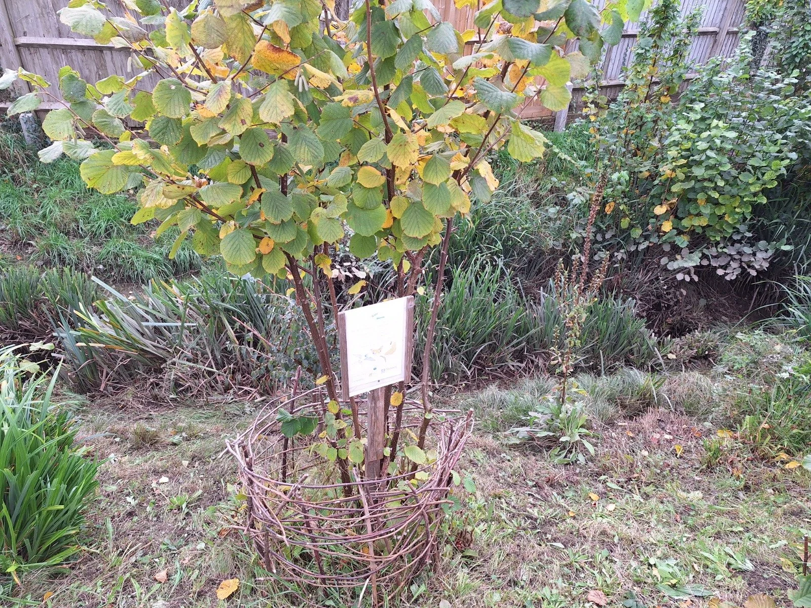 September 2025 News Update