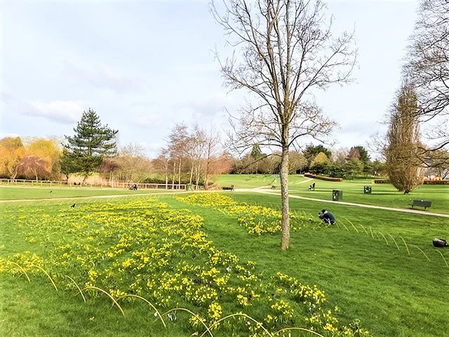 Horsham Park - Fields in Trust!