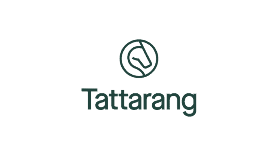 Tattarang Investment Internship