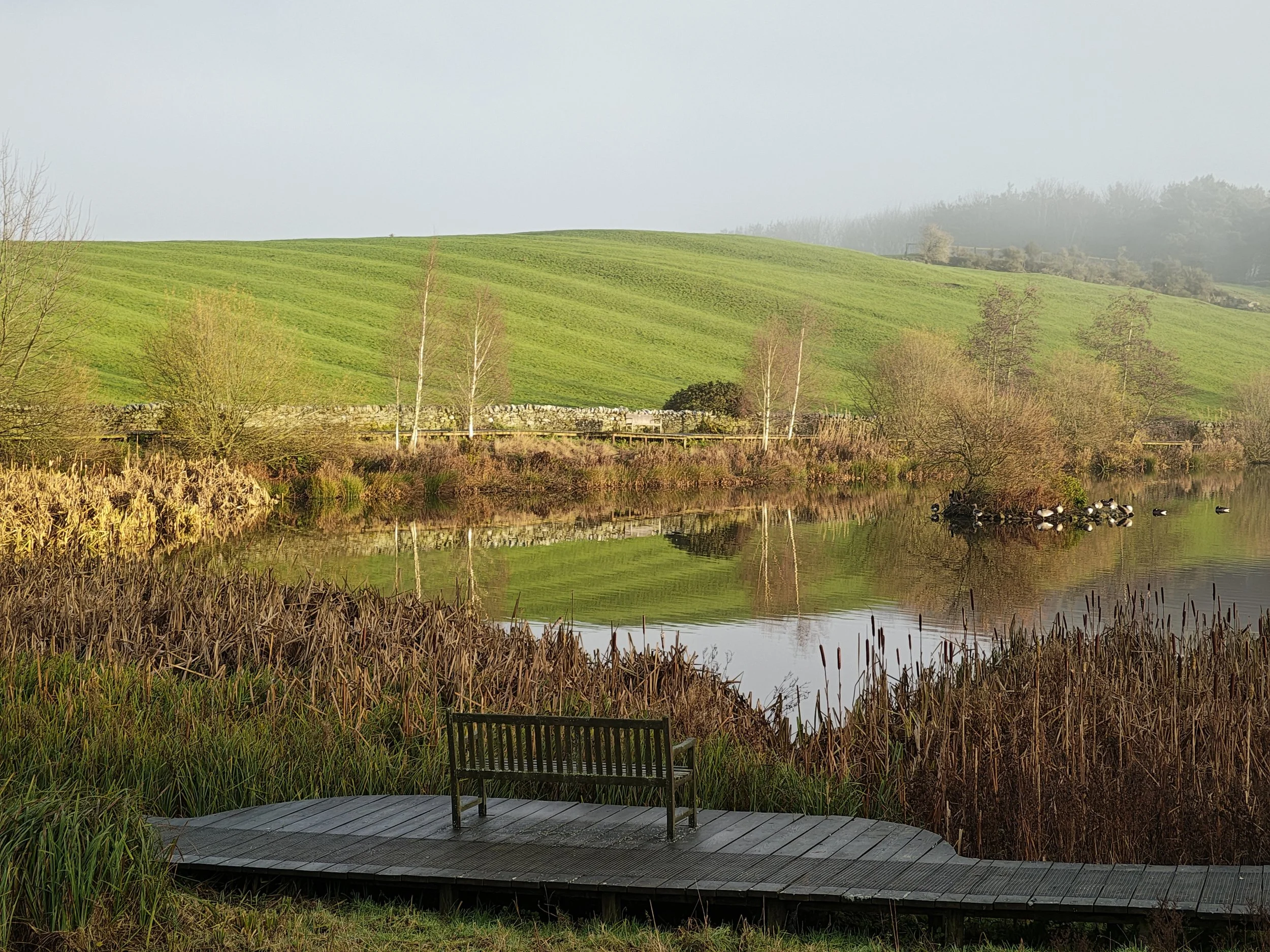 Hilltop Newsletter: Friday 19th December, 2025