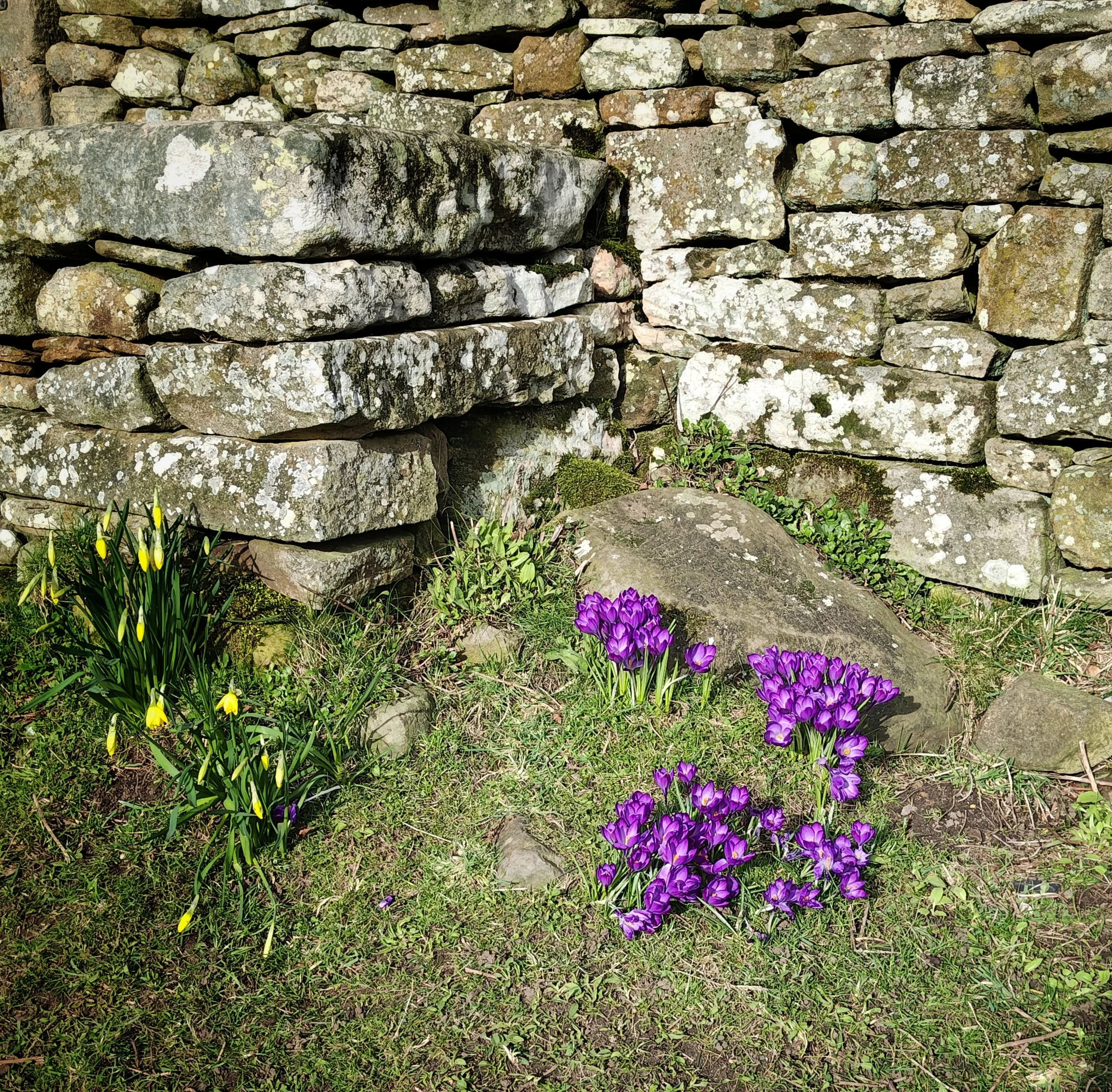 Hilltop Newsletter: Wednesday 18th March, 2026