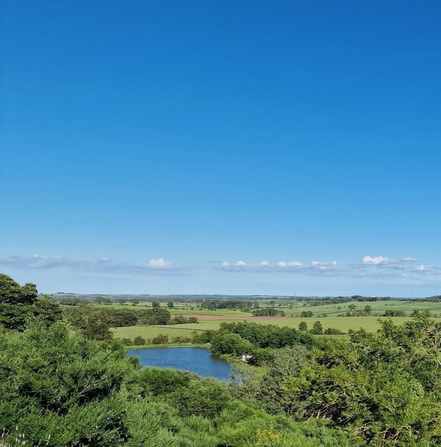 Hilltop Newsletter: Sunday 14th June, 2026