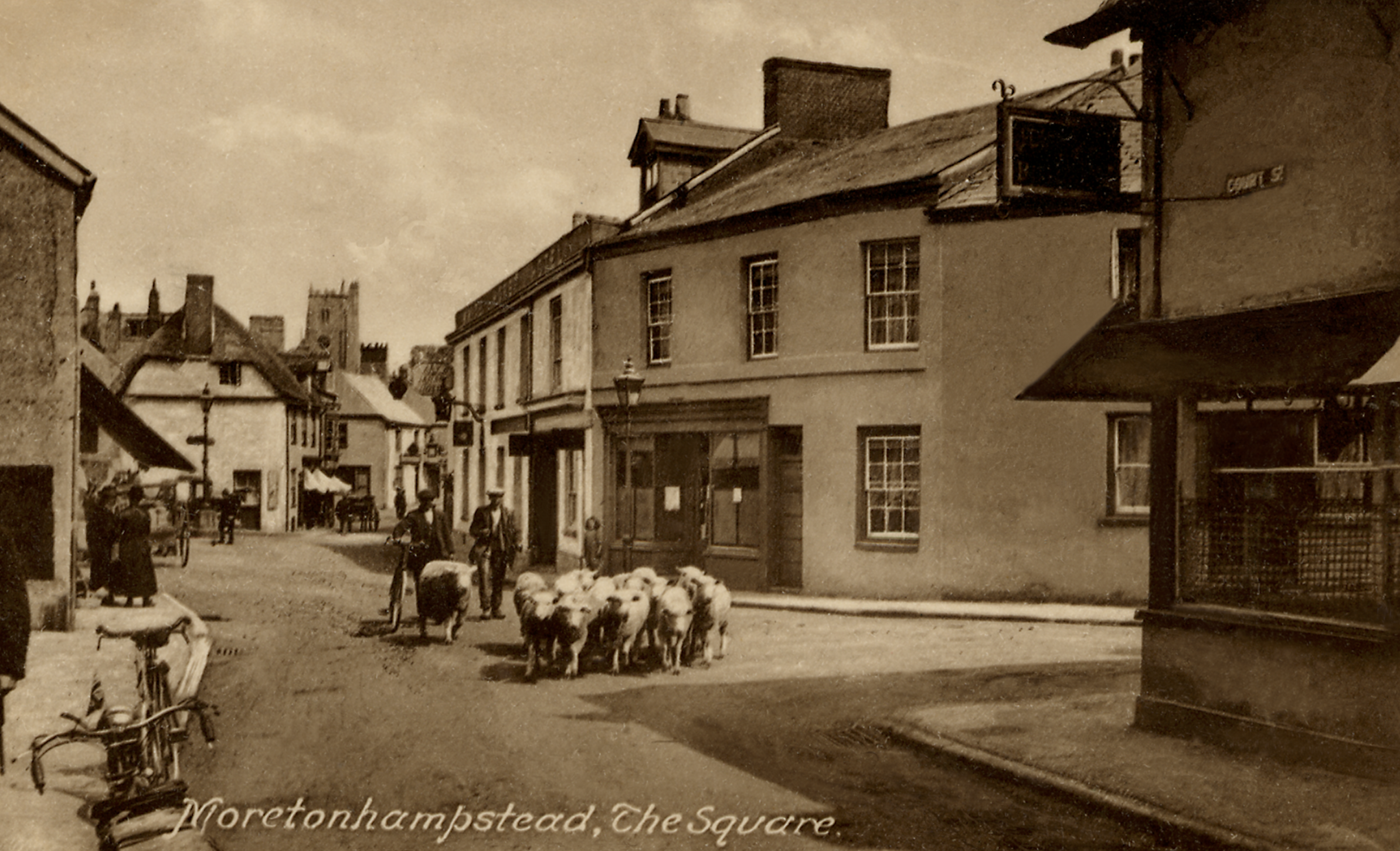 Sheep being herded through Moretonhampstead Square c1930