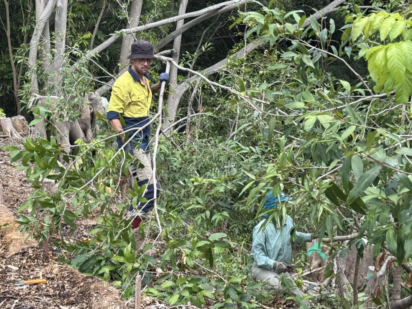 Shout out to the  Powerlink Queensland team who were busy last week re-planting the Stage 1 section along Crowley Creek pathway.
Whilst we will see more trees removed for this power project, it is good to see their diligence in re-planting the affect