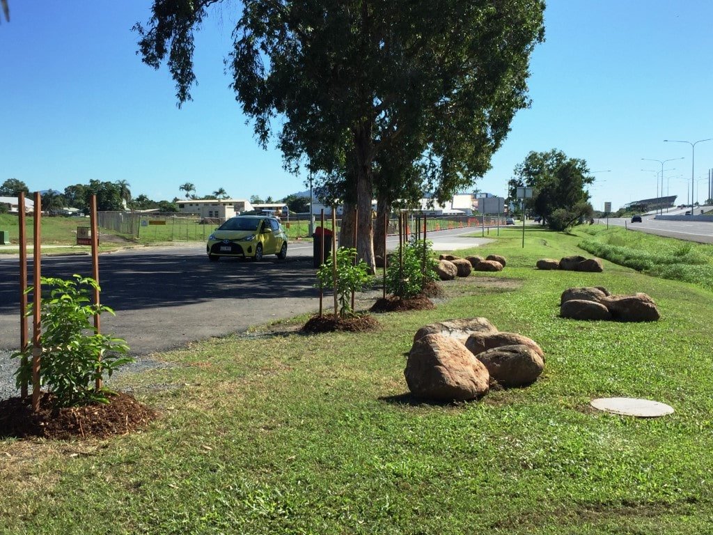 Landscaping project done with Woree State High School students-min.jpg