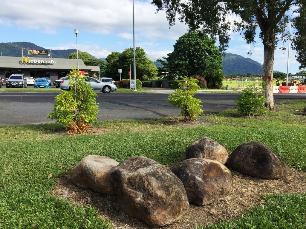 Woree bus stop landscaping-min.jpg