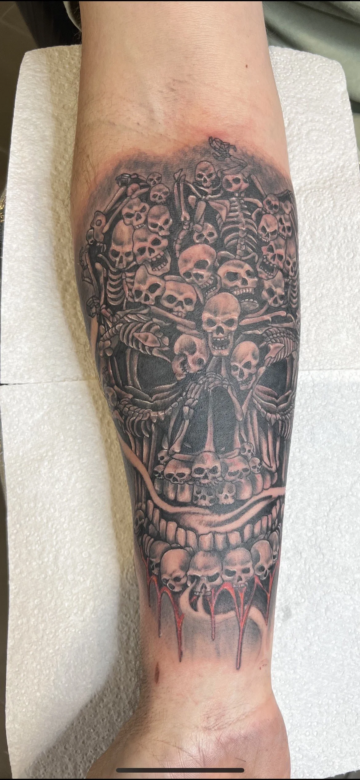 image_123986672 (4).JPG