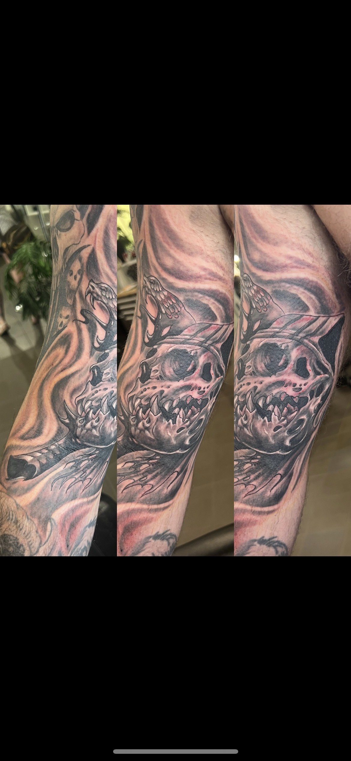 image_123986672 (9).JPG