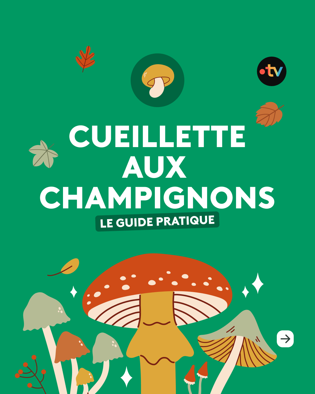 MKG-EDITO_2024_NATURE_LEXIQUE_DU_CLIMAT_DOME_DE_CHALEUR_1080X1350_SLIDE1.gif