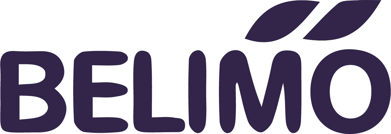 logo-Belimo2.png